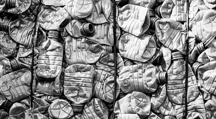 Crushed plastic bottles for recycling