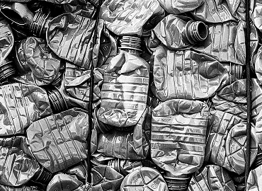 Crushed plastic bottles for recycling.